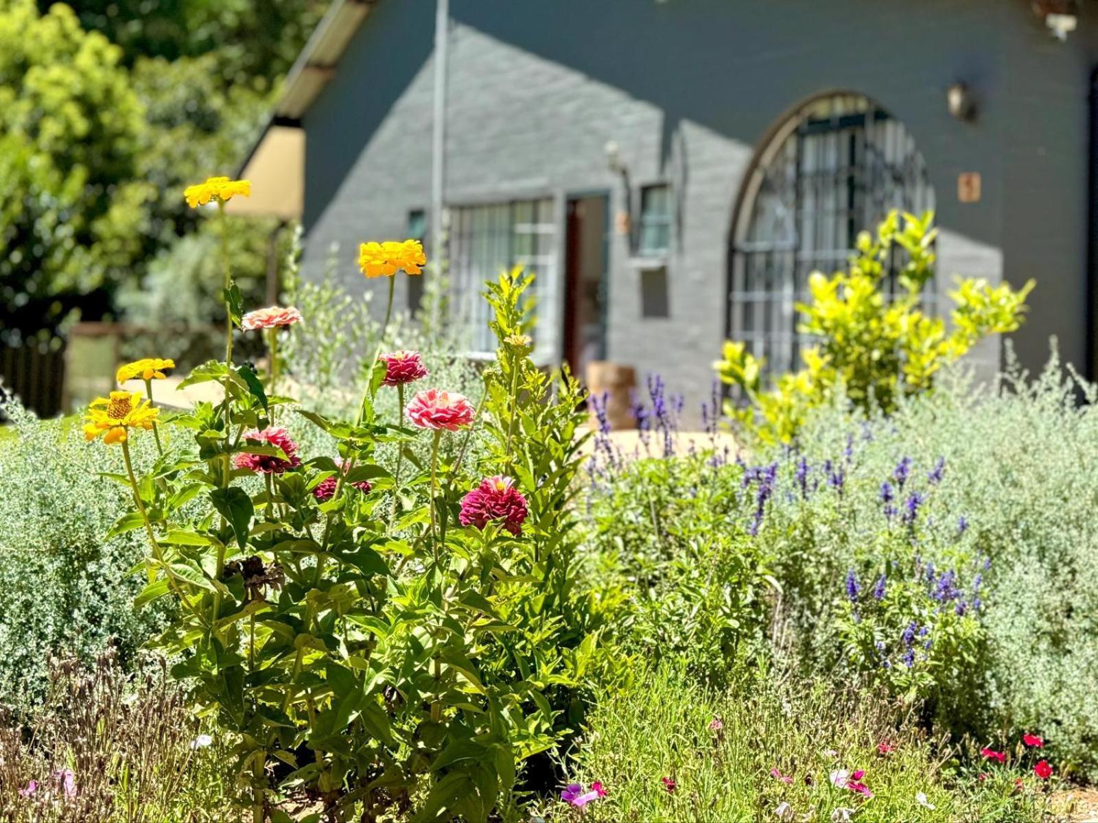 Fiddler'S Green Magoebaskloof Exteriér fotografie